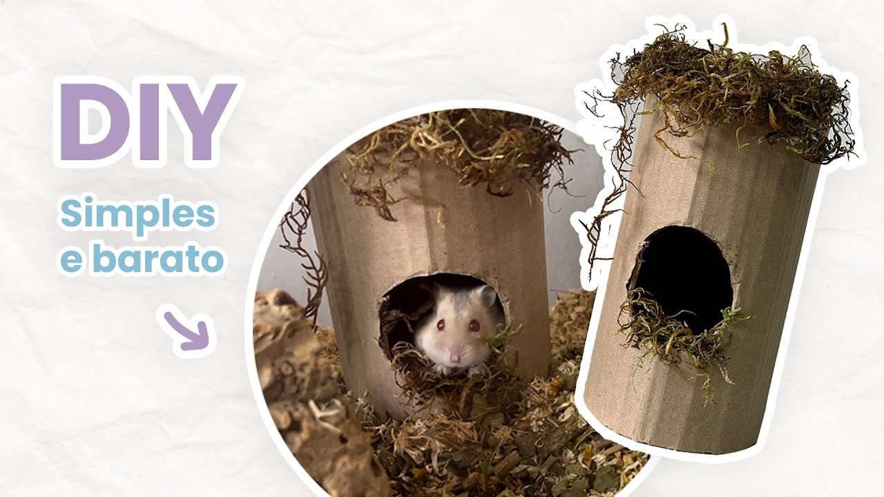 DIY - Toca de papelão para HAMSTER