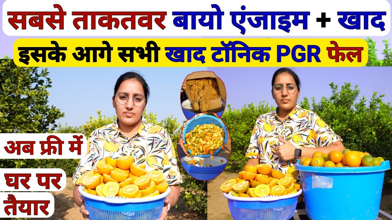 यूरिया DAP और NPK khad से कई गुना ताकतवर बायो एंजाइम + खाद | organic high power | Citrus bio-enzyme