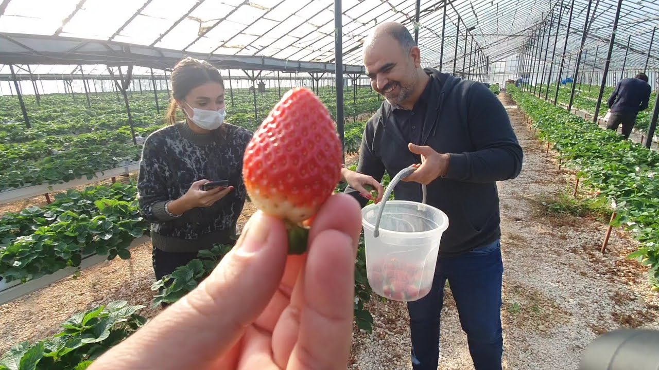 Genç Kadın Girişimci KREDİLERi, HİBELERi, nasıl alınır ne yapmamız lazım