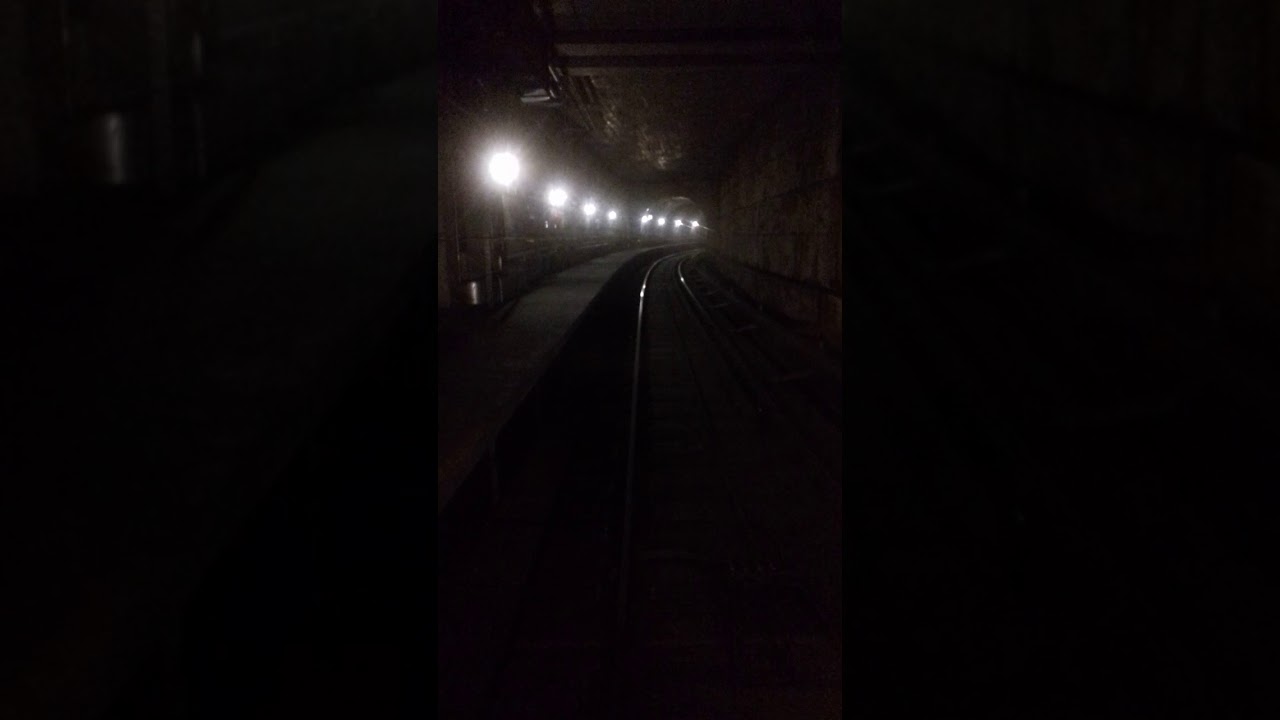 Nella M5 lilla da Tre Torri a Portello