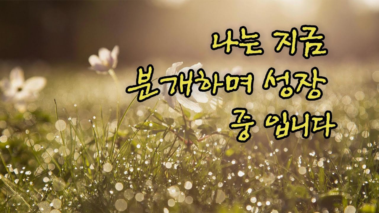 나는 지금 분개하며 성장 중 입니다. 이렇게 될 줄 몰랐죠. 공부는 싫었는데&hellip; 배우는 건 좋더라고요. 그냥 눌렀을 뿐인데&hellip; 서울사이버대학 세무회계학과 2학년 이야기