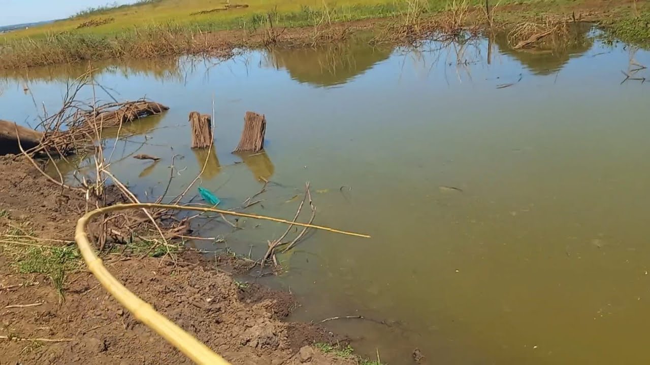 Misericórdia só monstros,veja a Adrenalina o coração chega acelera Pescaria Rio Turvo 