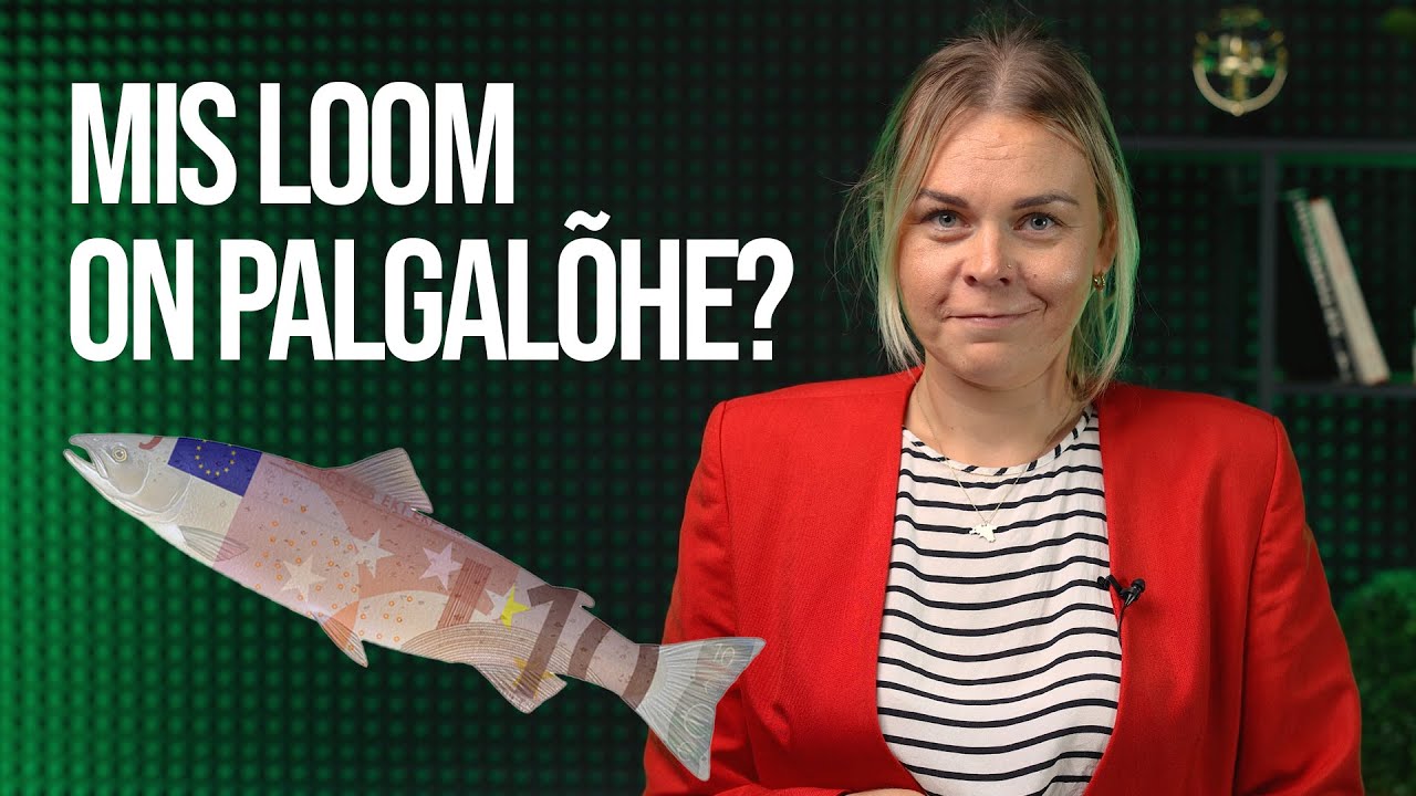 Sooline v&otilde;rd&otilde;iguslikkus | VIDEO&Otilde;PS x PERG Maailmaharidus #5