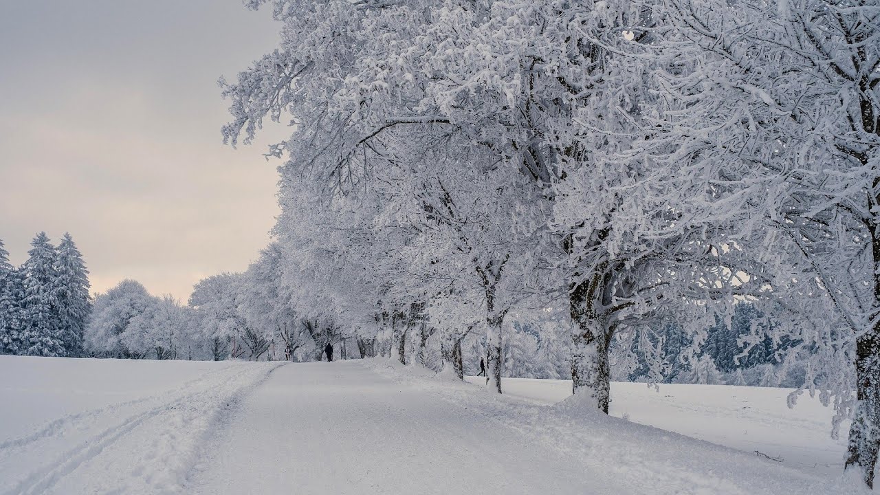 지친 마음을 감싸는 겨울 밤 힐링 1시간💚 | Comforting Healing Music for a Winter Night 1Hour💚