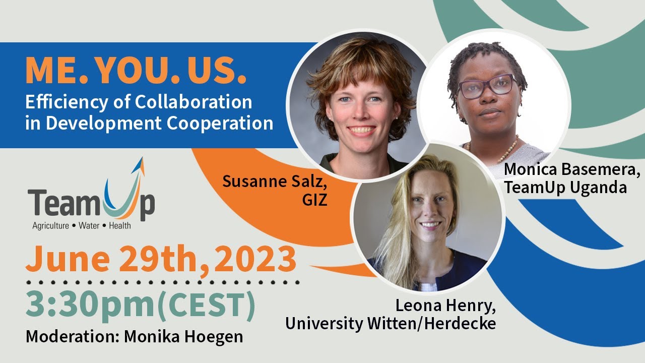 Me. You. Us. Efficiency of Collaboration in Development Cooperation