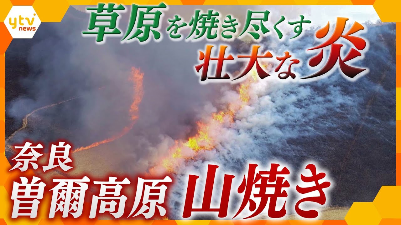広大なススキ原を力強く美しい炎が焼き尽くす…春を迎える奈良の伝統行事「曽爾高原の山焼き」【かんさい情報ネット ten.映像特集】