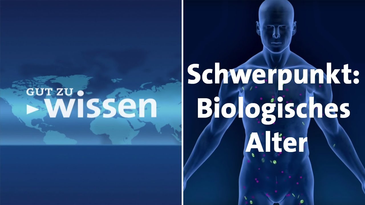 #gutzuwissen: Schwerpunkt Biologisches Alter