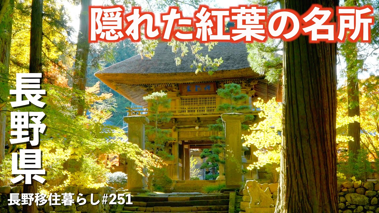 【長野移住】こんな所に隠れた紅葉の名所があったとは!!｜佐久グルメ｜貞祥寺｜BLUETTI｜ドライブ｜田舎暮らし｜長野県｜4K