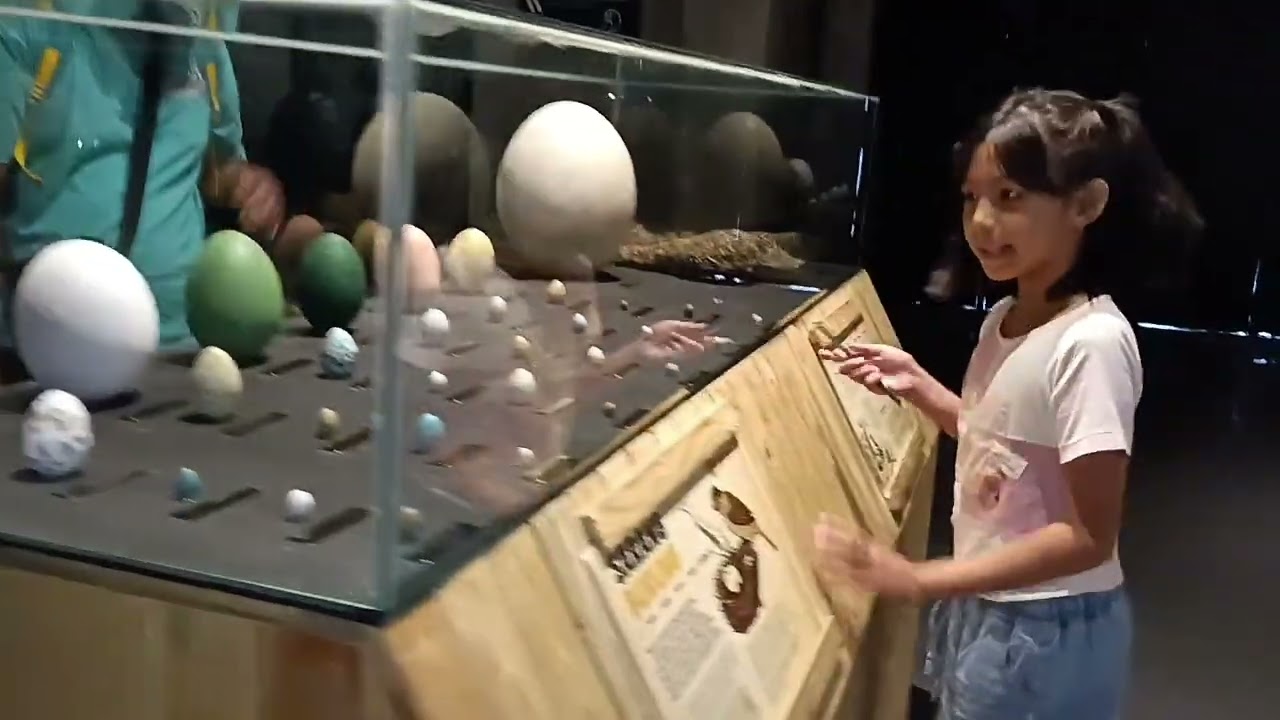 Berkunjung ke Animalium Bogor