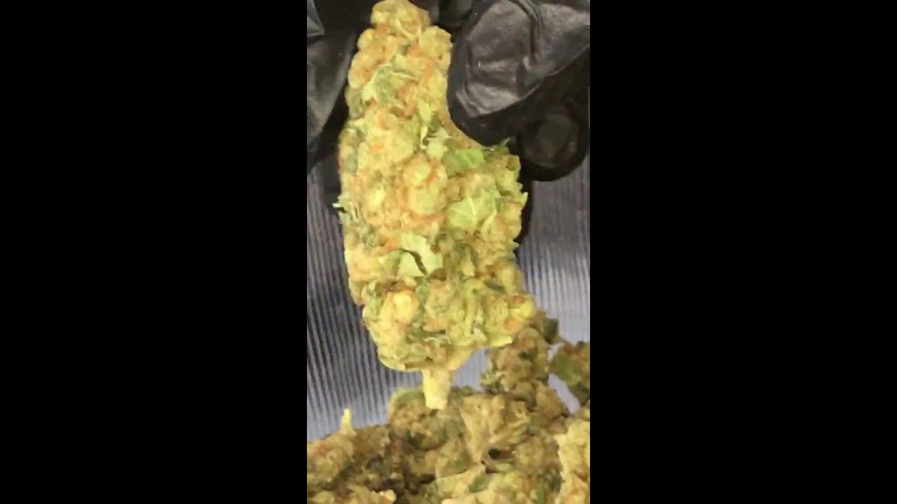 #TasteBuds CBD Weed / Flowers (0% THC)