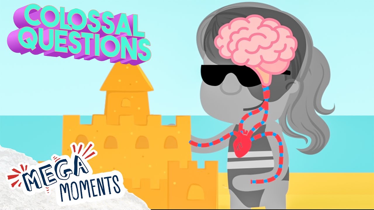 10 Weird Things Your Body Does! 🧠 | Colossal Questions | Science for Kids 🧬