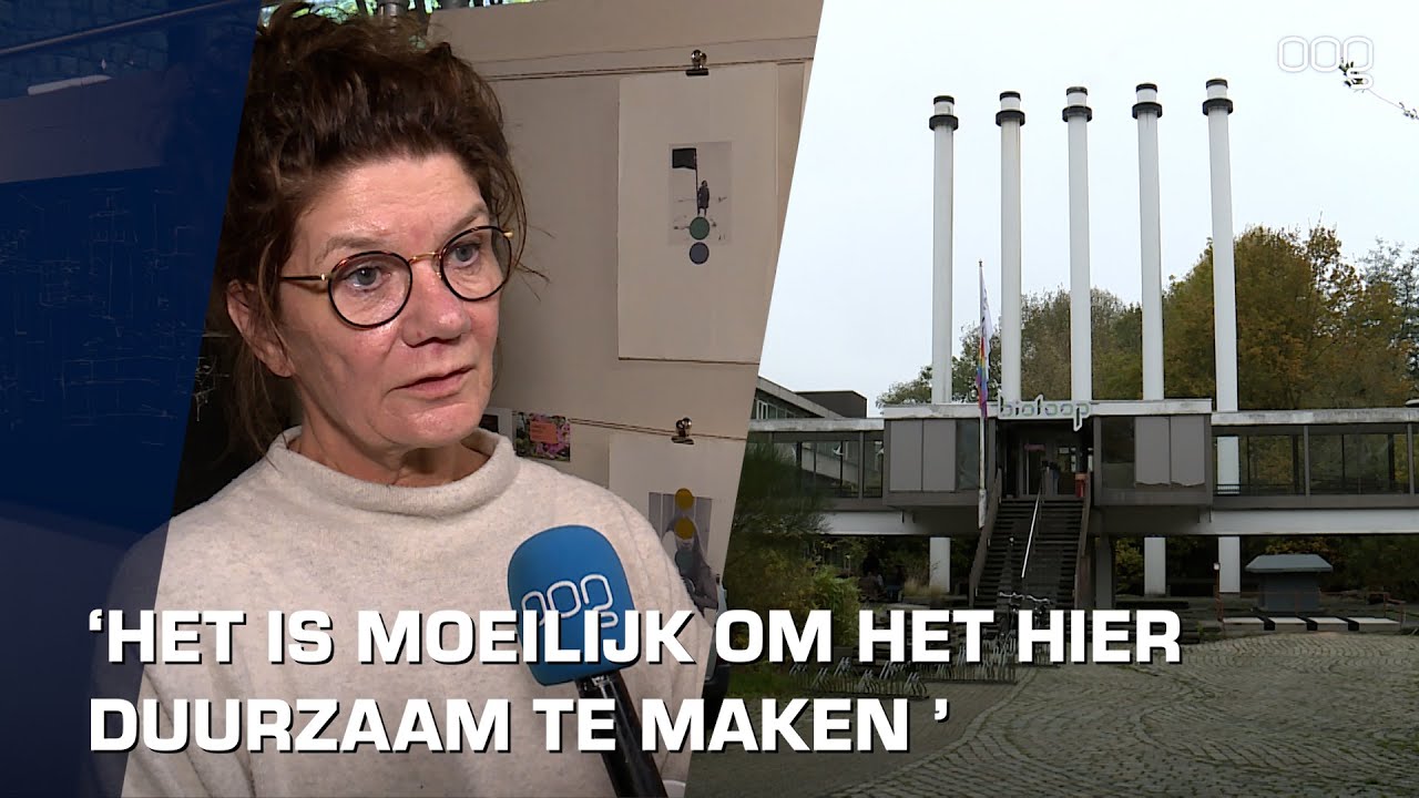 Grote verkooptentoonstelling van kunstenaars in Biotoop