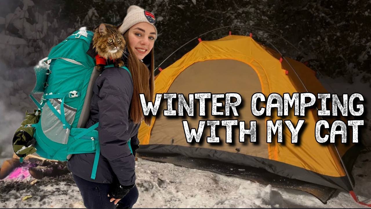Solo Girl Winter Camping⛺❄️ Cat Tent Setup 🐱🔥Campfire Steak & Hot Dog, Mulled Wine ASMR