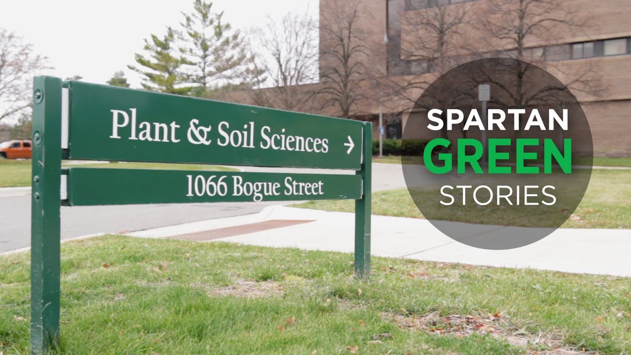 Spartan Green Stories: MSU's Grumet Research Lab