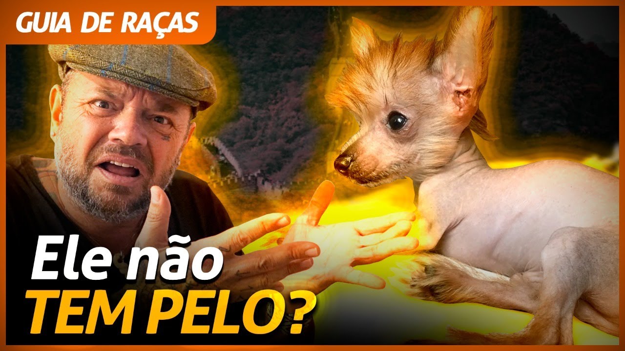 CHINÊS DE CRISTA, O CACHORRO MAIS ESTRANHO QUE EU JÁ CONHECI! | RICHARD RASMUSSEN