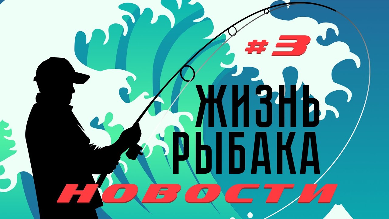 НОВОСТИ #3 / YAMAGA BLANKS, XESTA, GRAPHITELEADER