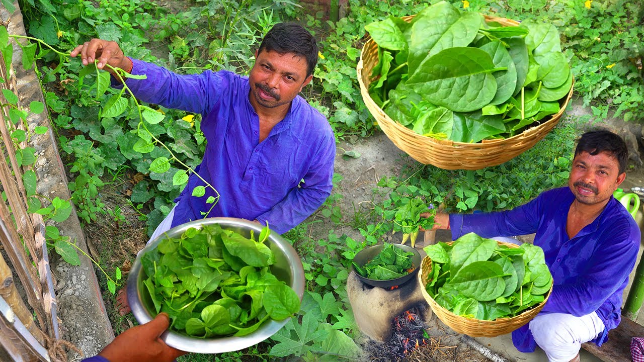 Poi Ki Sabji Recipe- यह साग नहीं खून बनाने की मशीन है खून बढाने वाली सब्जी -Poi Saag Sabji
