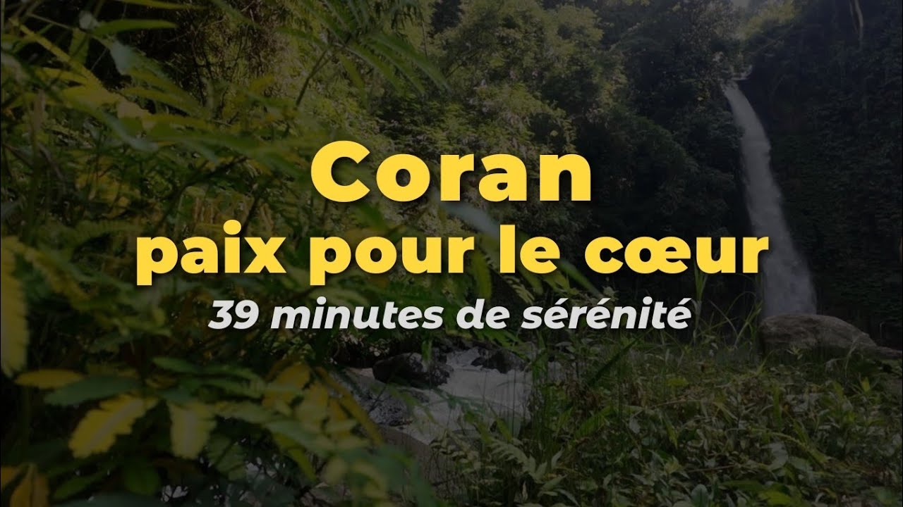 Coran: paix pour le c&oelig;ur | 39 minutes de s&eacute;r&eacute;nit&eacute; #coran #paix #apaisement