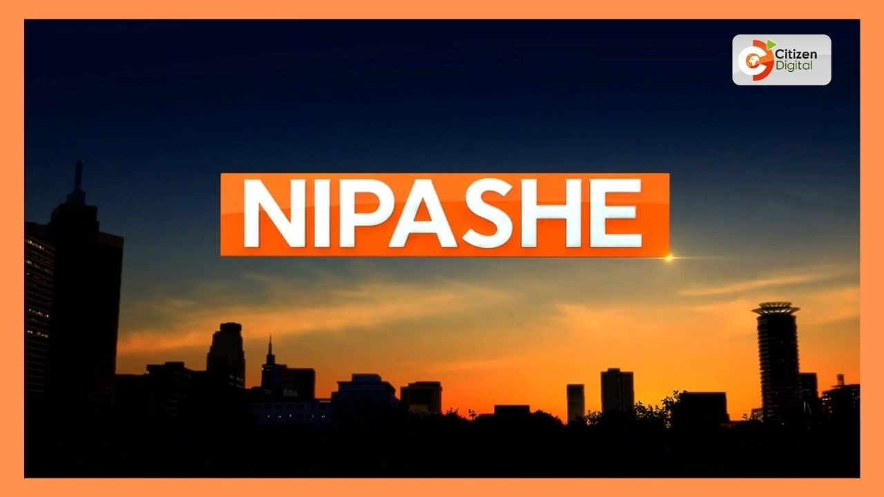 CITIZEN NIPASHE ~ 8 ИЮЛЯ 2026