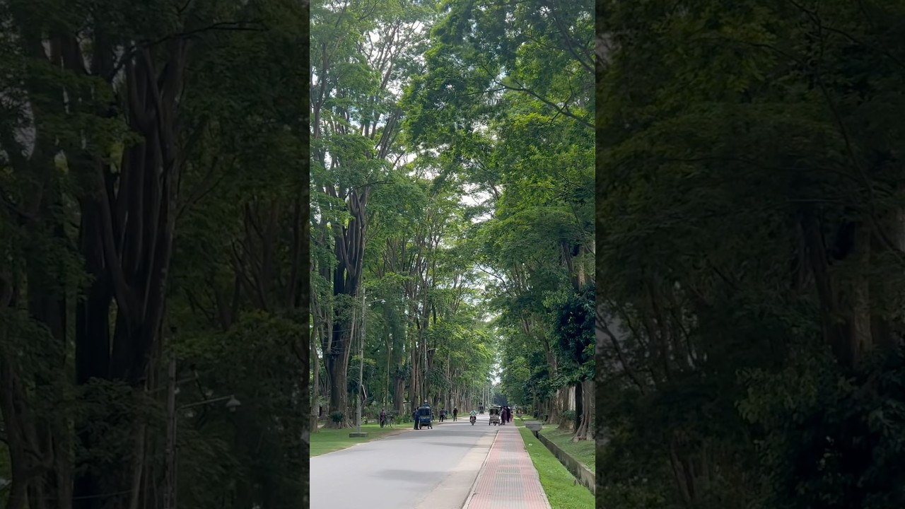 Paris Road, Rajshahi University, Rajshahi, Bangladesh #ru #rajshahi #rajshahiuniversity #Bangladesh