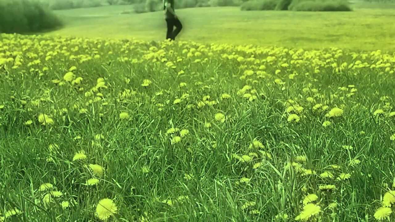SINE - Spring Awakening