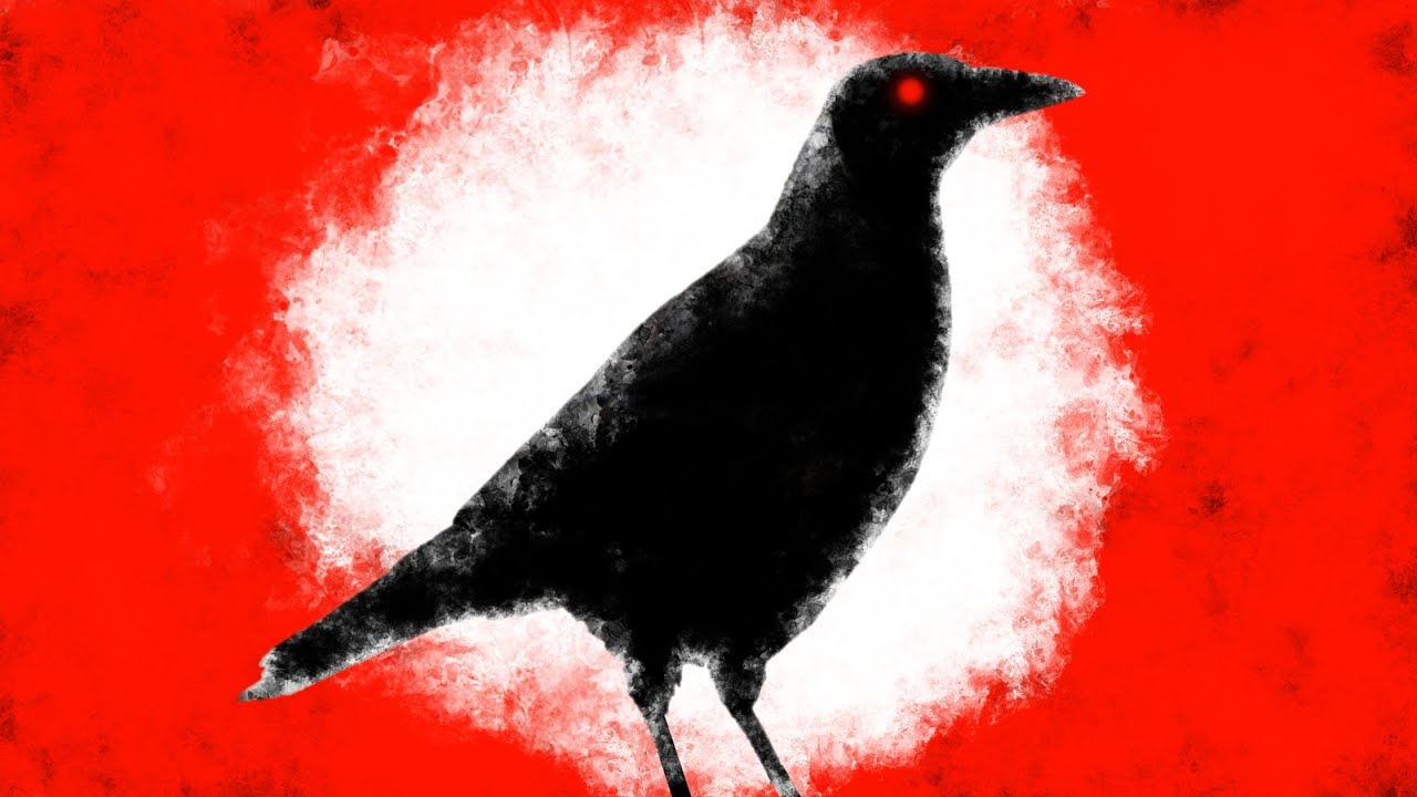 The Bad Bird Book
