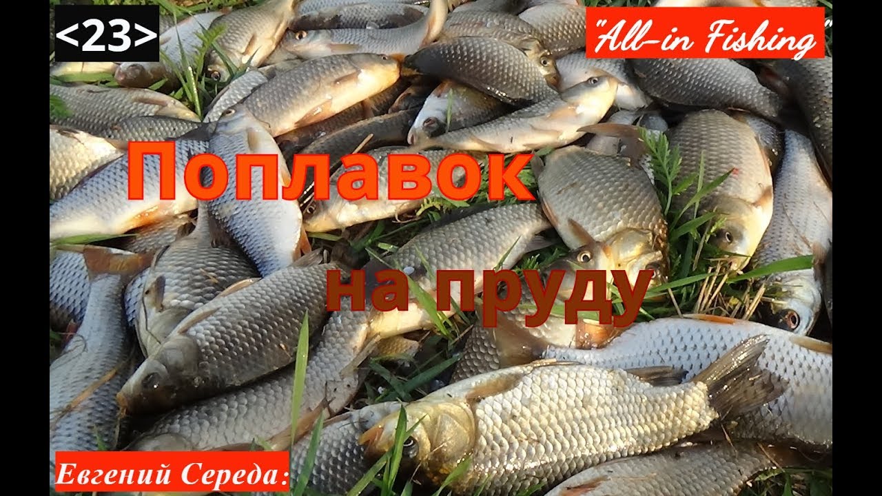 Поплавок на пруду. 