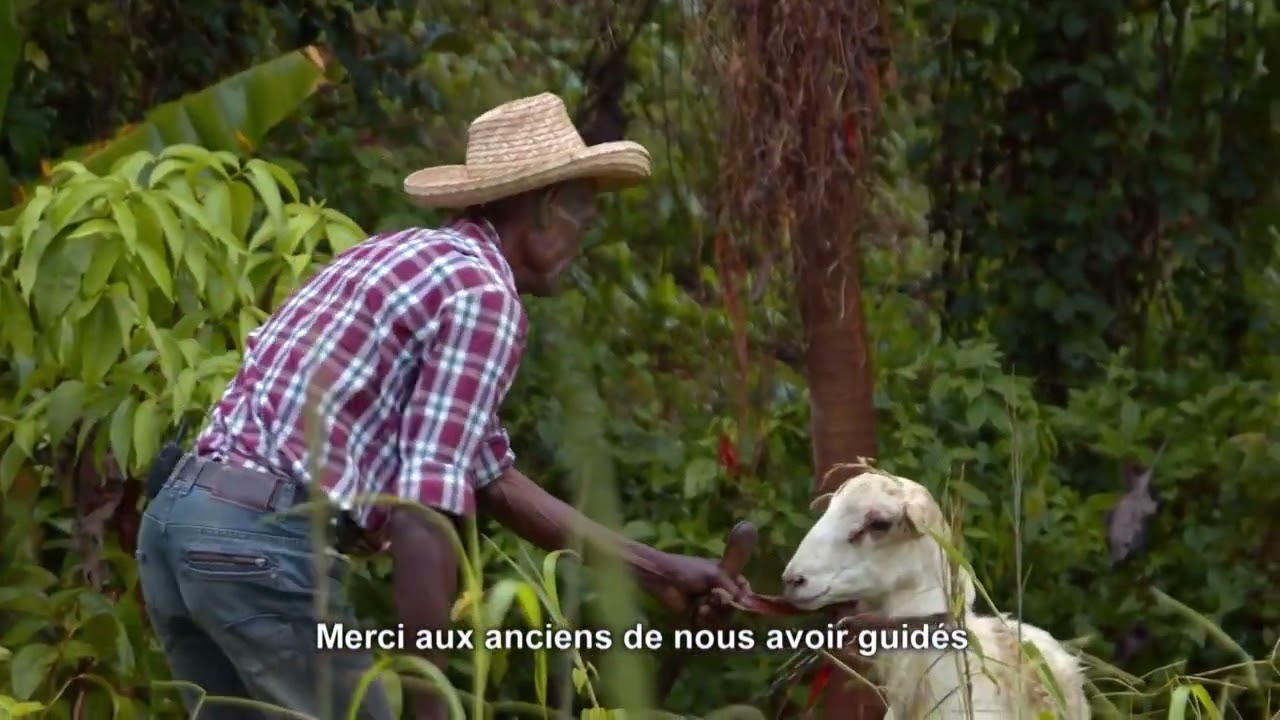 Nous, gens de la terre - la Martinique / Extrait