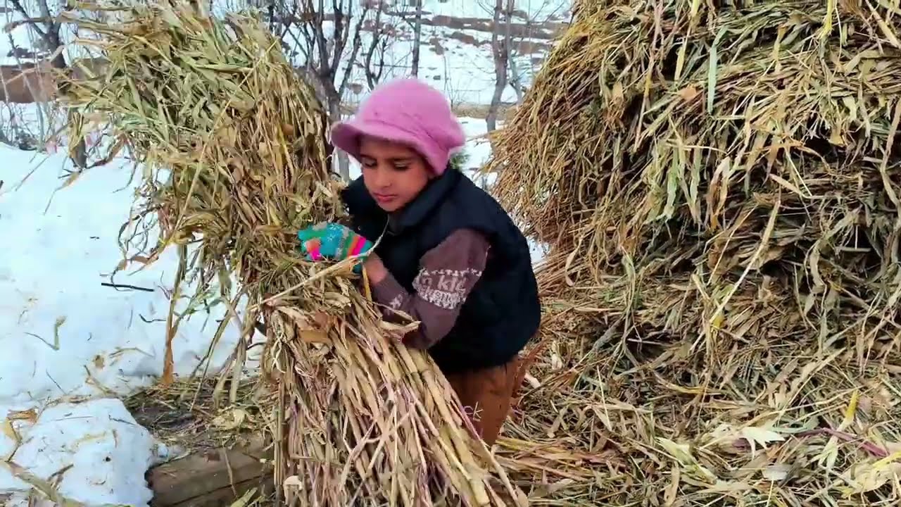 Extreme Snow Survival in India | Traditional Village Cooking Methods