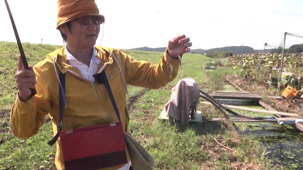 【Honda 釣り倶楽部】小ブナ釣り入門講座 CHAPTER 01 マブナってこんな魚！秋の小ブナ釣りの魅力