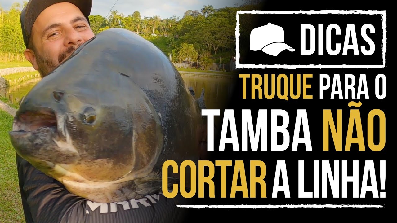 TRUQUE PARA O TAMBA NÃO CORTAR A LINHA! (DICA)