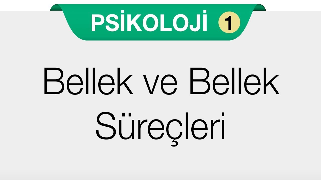 Öğrenme, Bellek,  Düşünme  - Bellek, Bellek Türleri ve Temel İşlevleri