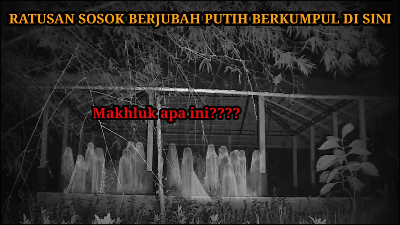 HOROR‼️NEKAT PASANG CCTV DI BANGUNAN ANGKER TENGAH HUTAN