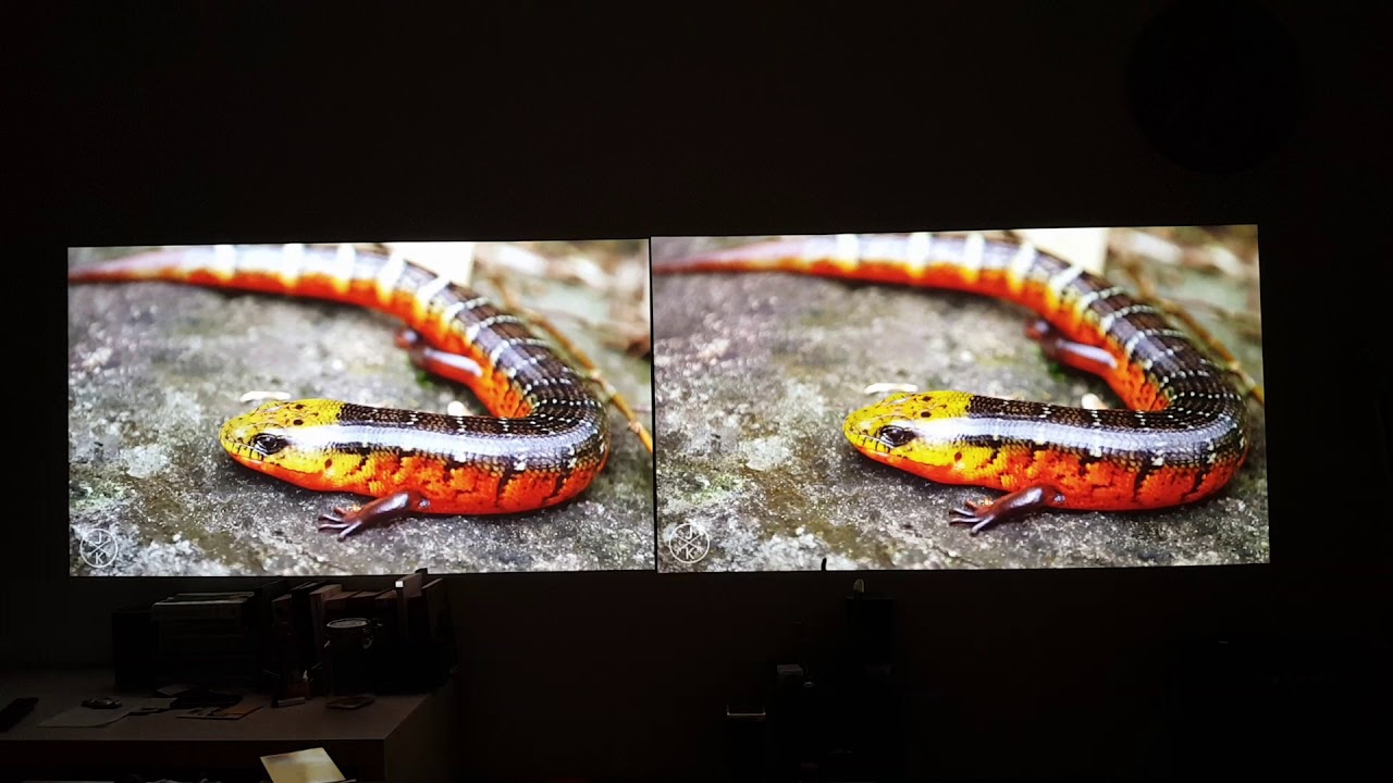 Benq HT2050 (W1110) vs Benq HT3050 (W2000) Side by side video comparison