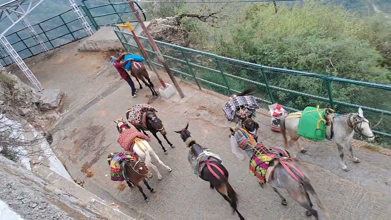 Jammu and kashmir katr माता वैष्णो देवी मंदिर