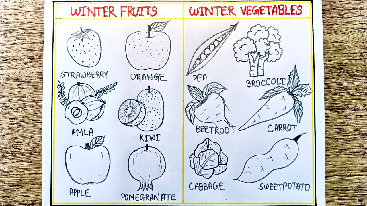 Winter season Fruits and vegetables drawing | Winter Vegetables drawing | Winter fruits drawing 