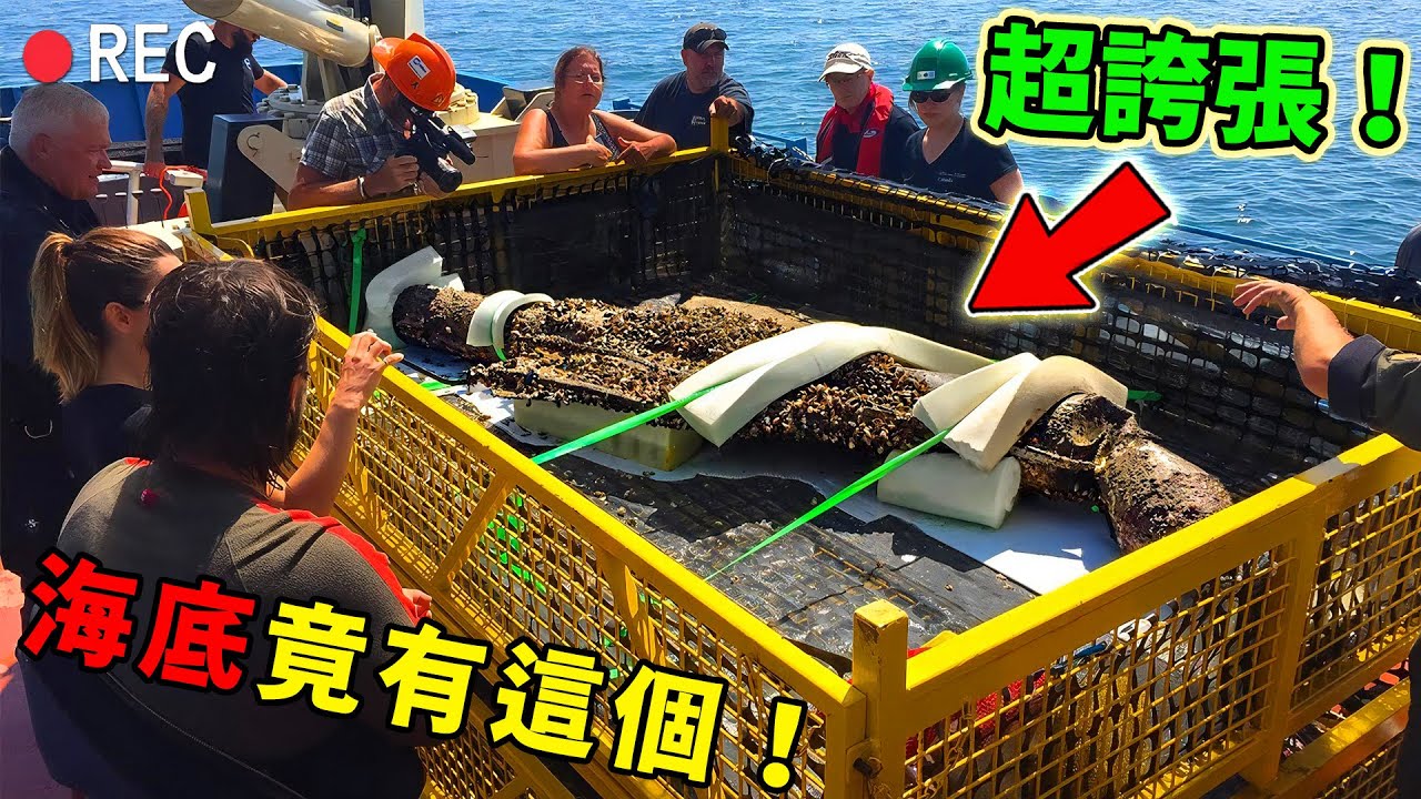 全世界最神秘的十大水怪！第十名被軍方捕捉失敗封鎖檔案，第一名竟留下過真實屍骸，卻在運輸途中離奇消失！