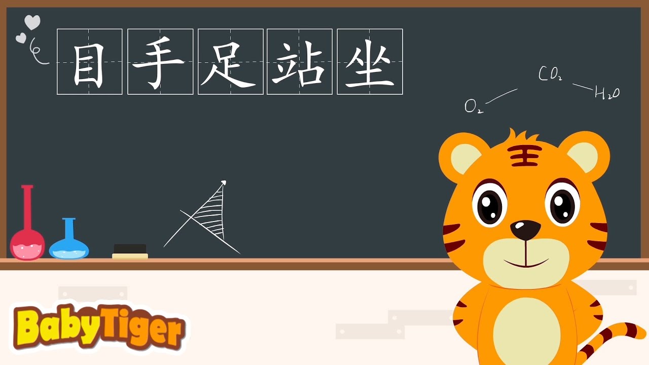 【寶寶學漢字】目手足站坐 | 漢字啟蒙 | 漢字認知 | 幼兒早教啟蒙 | 國學古詩經典 | 貝樂虎 | Baby Tiger