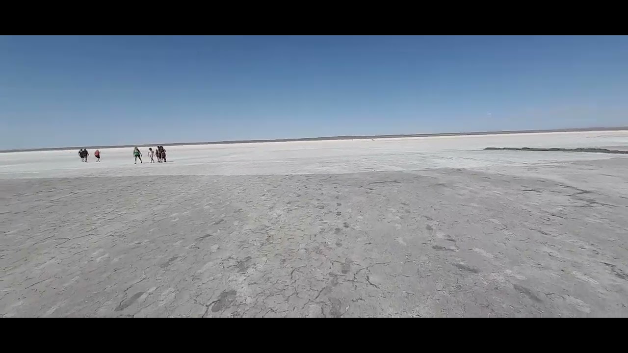 Salar diamante 