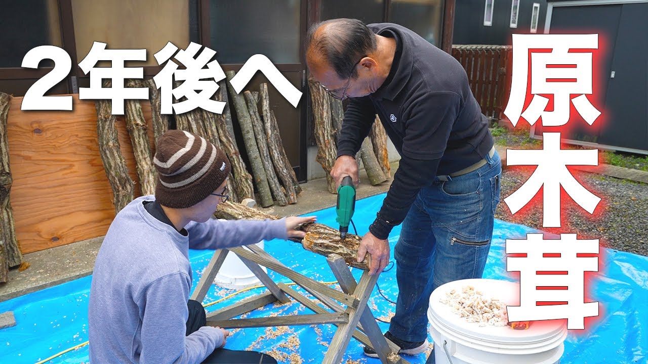 【大工の日曜】2年後に期待を込めて、椎茸菌を仕込む！原木椎茸栽培の道30年
