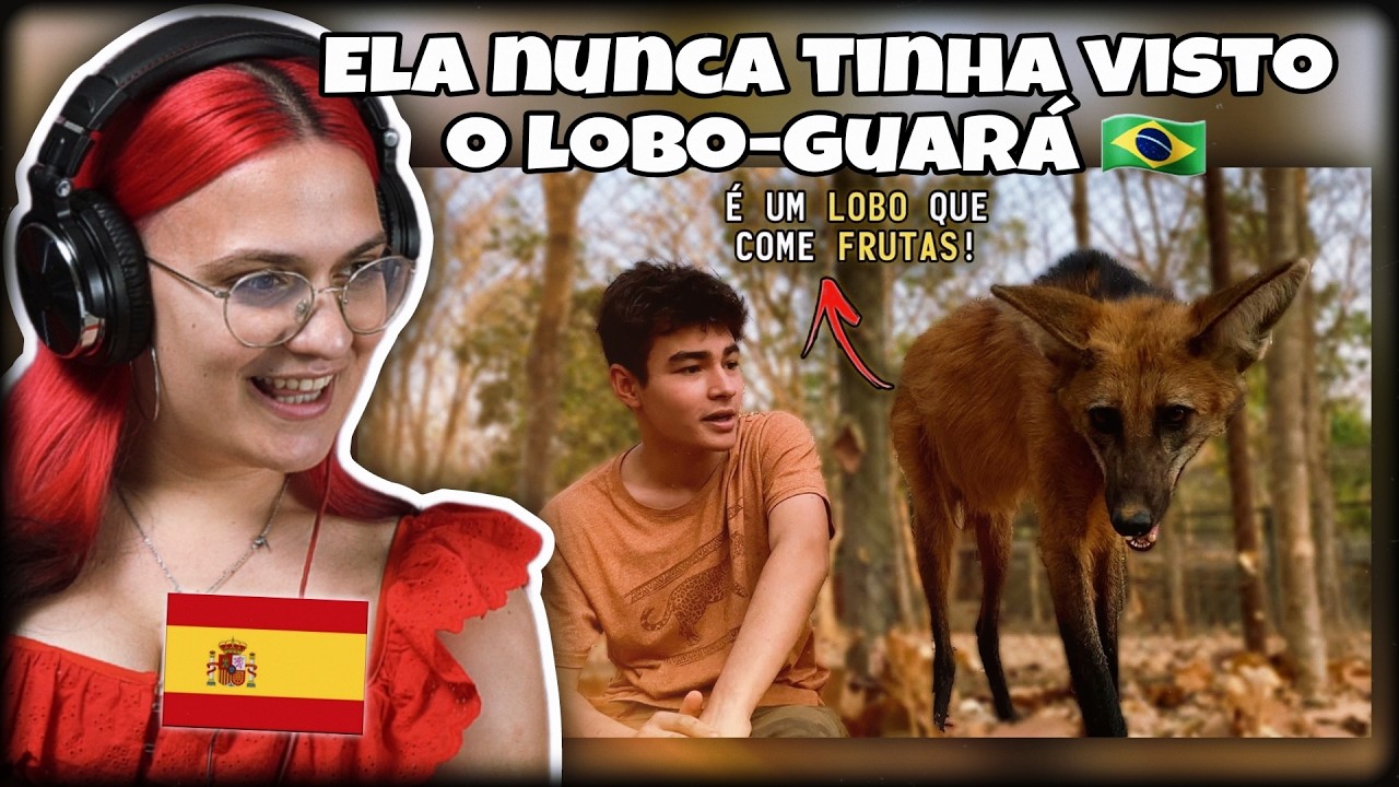 GRINGOS REAGEM A LOBO GUARÁ, O MAIOR CANÍDEO DAS AMÉRICAS! | TIAGO JÁCOMO