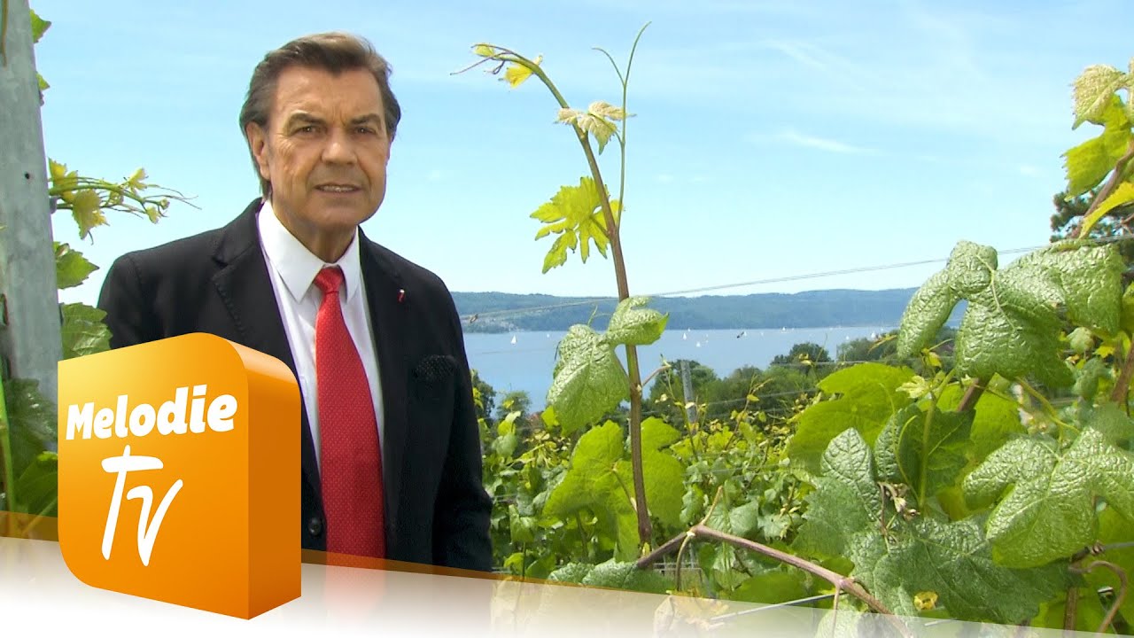 Willy Lempfrecher - Der Engel mit dem Schwert (Offizielles Musikvideo)