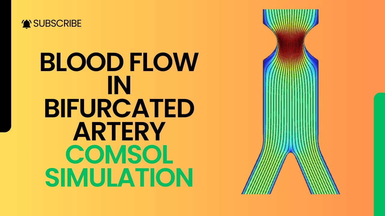 Blood Flow in a Stenosed Bifurcated Artery | COMSOL Simulation 2D