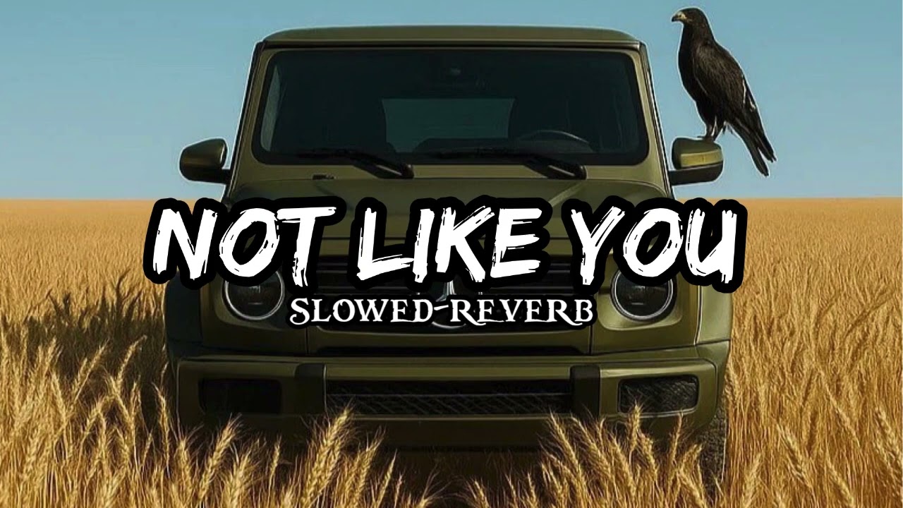 Jo Har Kisi Ne Acha Lagu Me Pesa Thodi Hu [slowed +reverb] Hammy Muzic