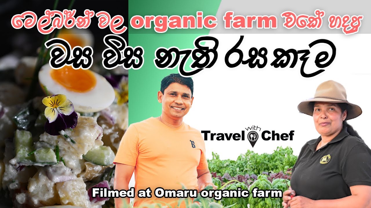 මෙල්බන්වල වස විස නැති ලාංකික ගොවිපළේ හදපු ගුණ සැලඩ් එක. Salad from Organic farm produce