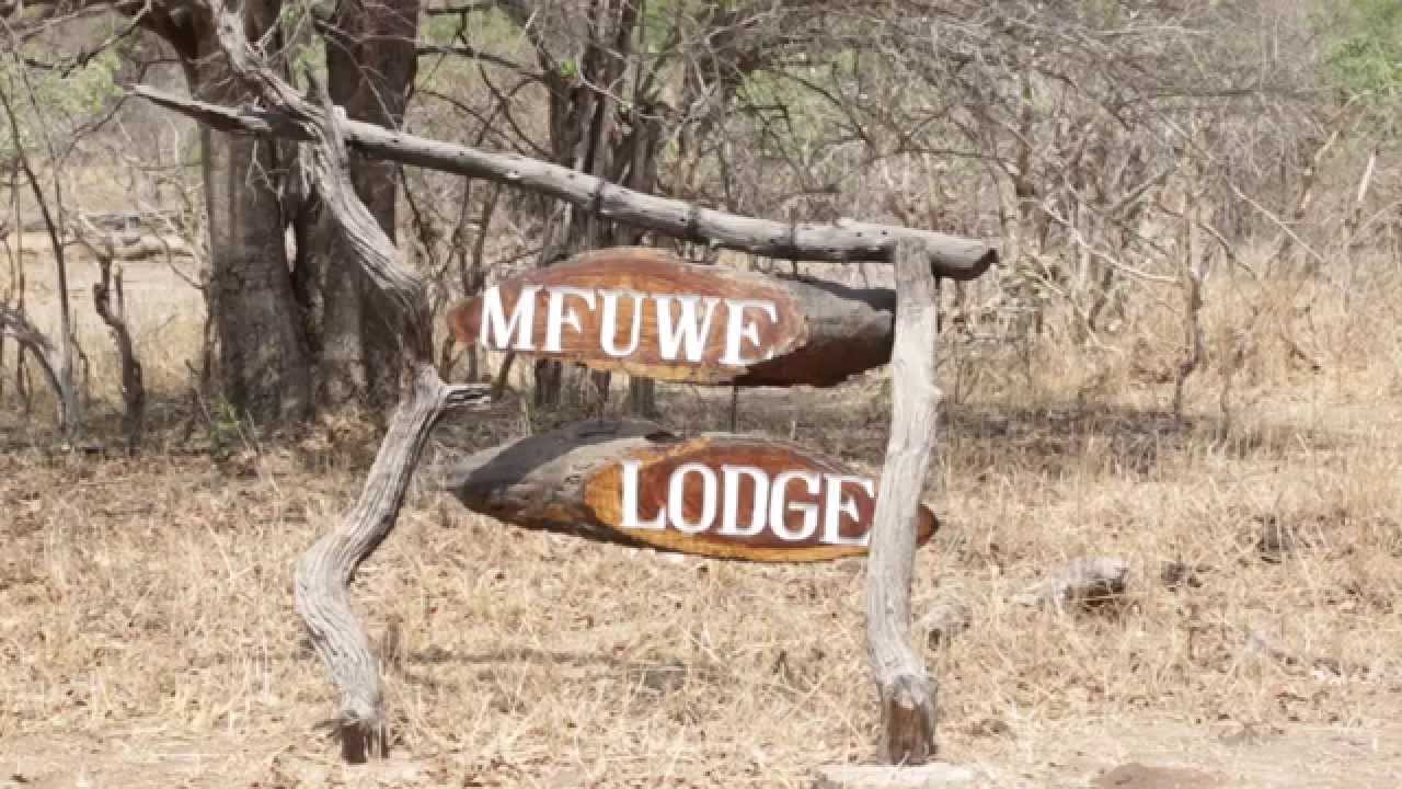 Mfuwe Magic - A Wildlife Wonderland