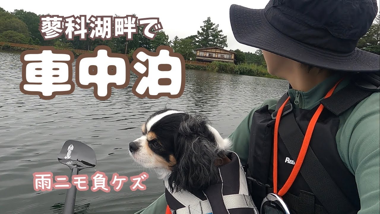 カヤックのできる道の駅で犬と車中泊。台風で予定変更、真夏なのにダウンを着て過ごす夜。犬と蓼科車中泊の小さな旅 / 長野移住 / 道の駅スタンプラリー / ぴんころ地蔵