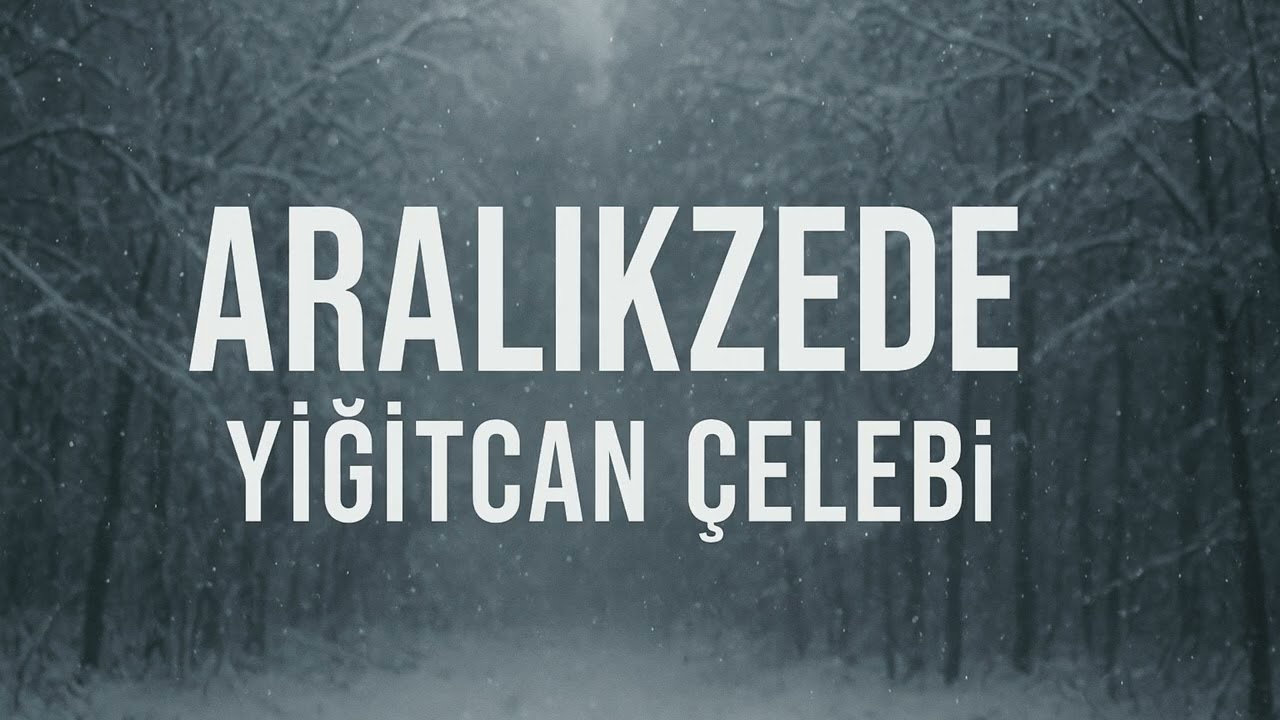 YİĞİTCAN &Ccedil;ELEBİ-ARALIKZEDE