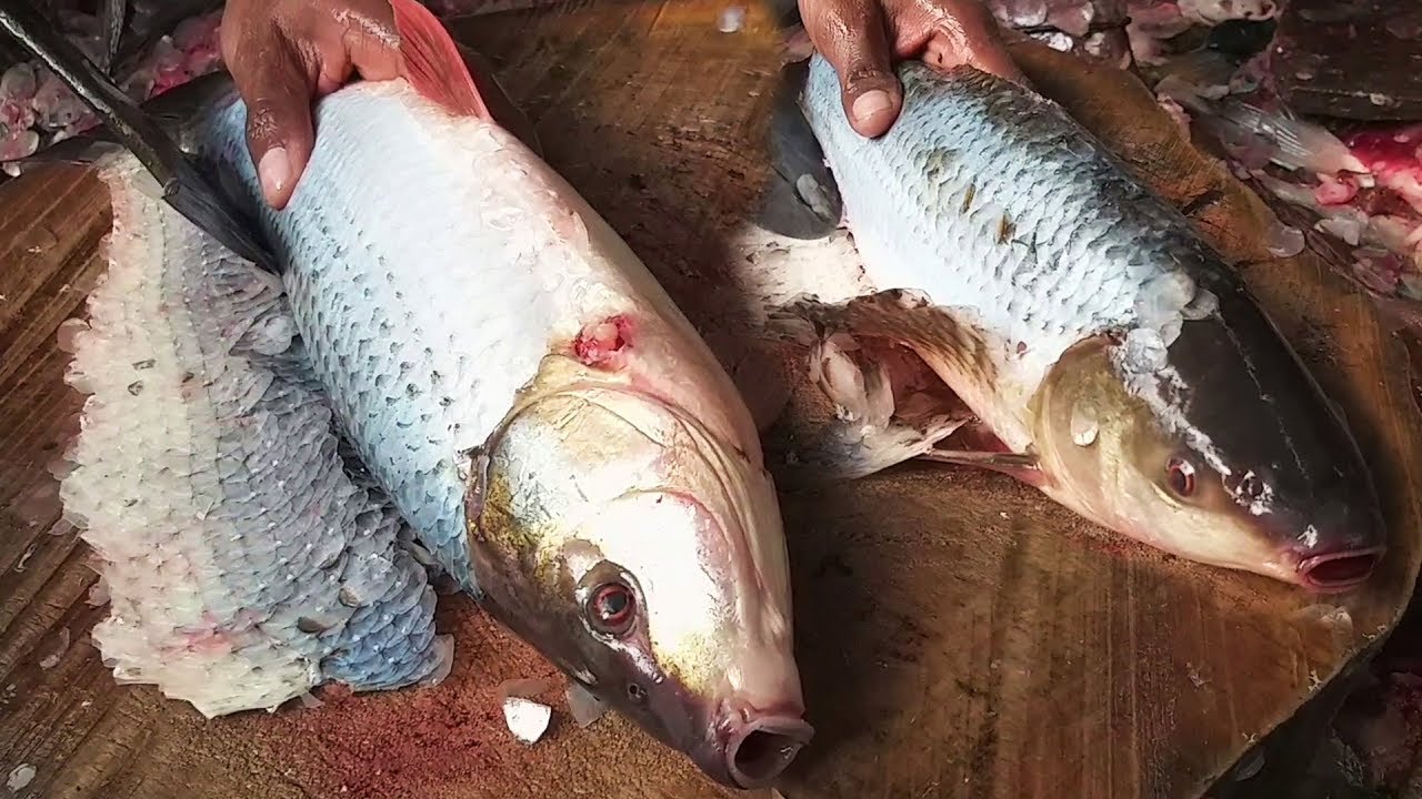 Amazing Fish Cutting Videos | Rohu Fish Cutting | Fastest Fish Cutting Skills