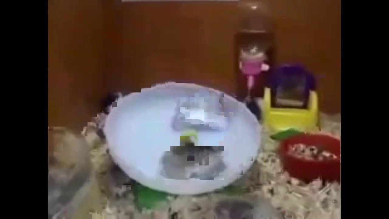 Interstellar &ldquo;No Time For Caution&rdquo; Meme Compilation